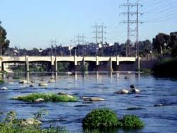 The Los Angeles River at Atwater Village